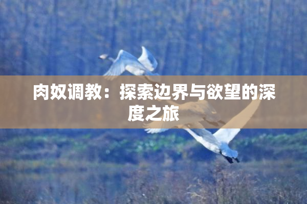 肉奴调教：探索边界与欲望的深度之旅