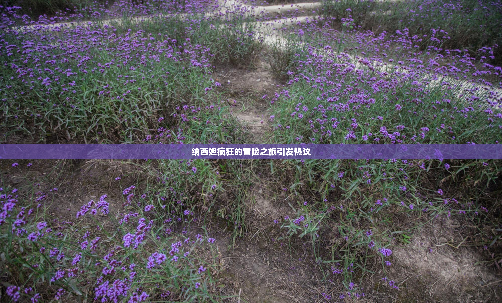 纳西妲疯狂的冒险之旅引发热议