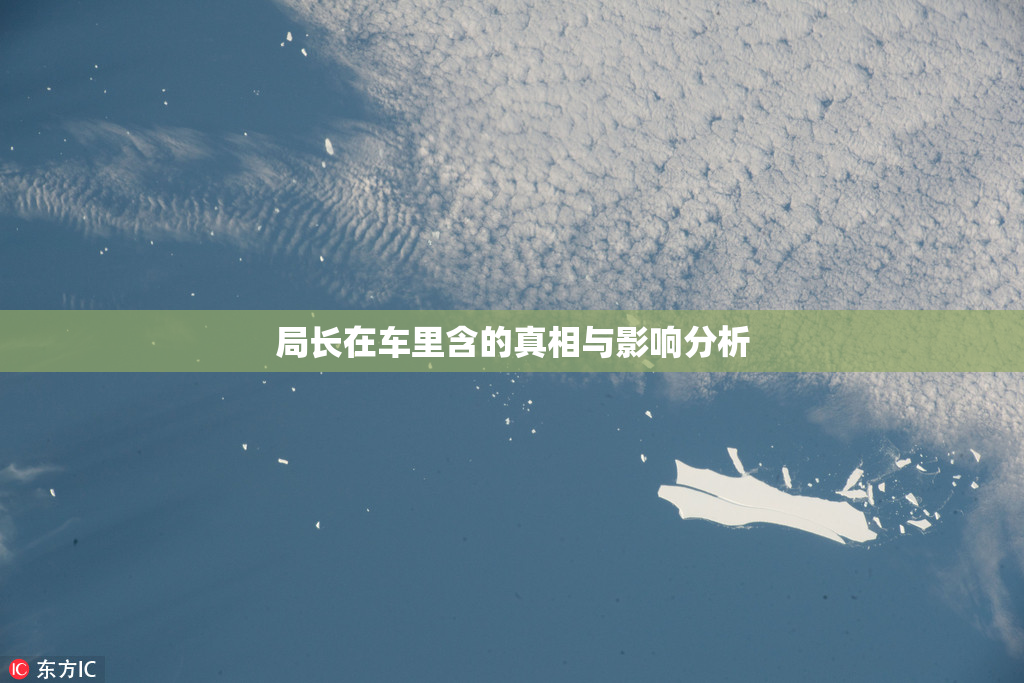 局长在车里含的真相与影响分析