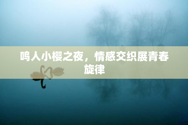 鸣人小樱之夜，情感交织展青春旋律