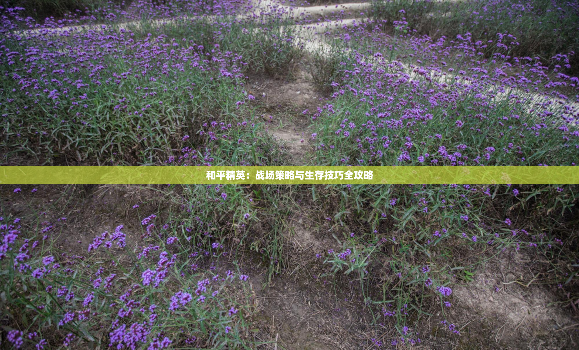 和平精英：战场策略与生存技巧全攻略