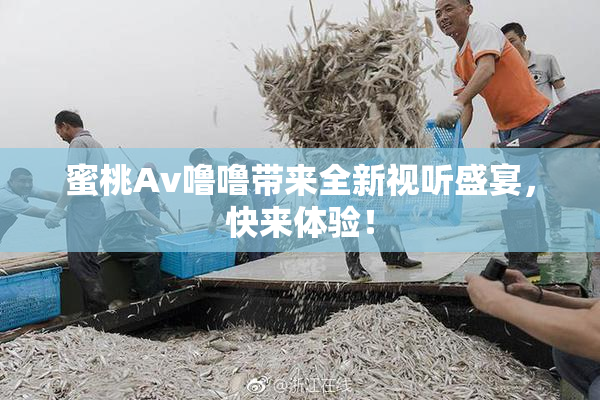 蜜桃Av噜噜带来全新视听盛宴，快来体验！