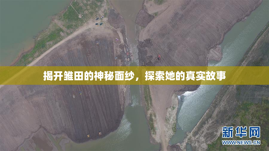 揭开雏田的神秘面纱，探索她的真实故事