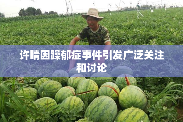 许晴因躁郁症事件引发广泛关注和讨论