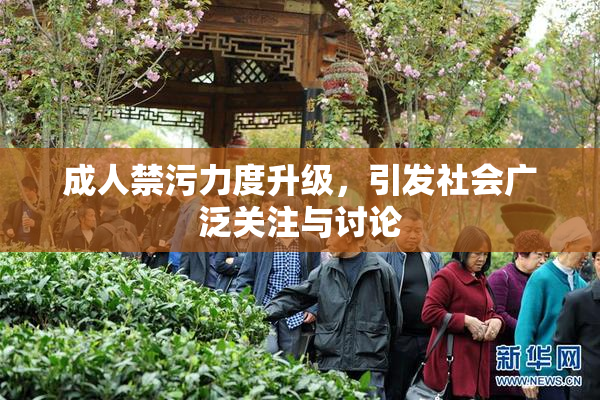 成人禁污力度升级，引发社会广泛关注与讨论