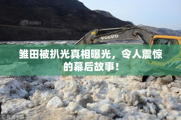雏田被扒光真相曝光，令人震惊的幕后故事！