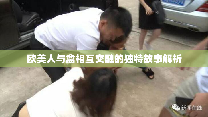 欧美人与禽相互交融的独特故事解析