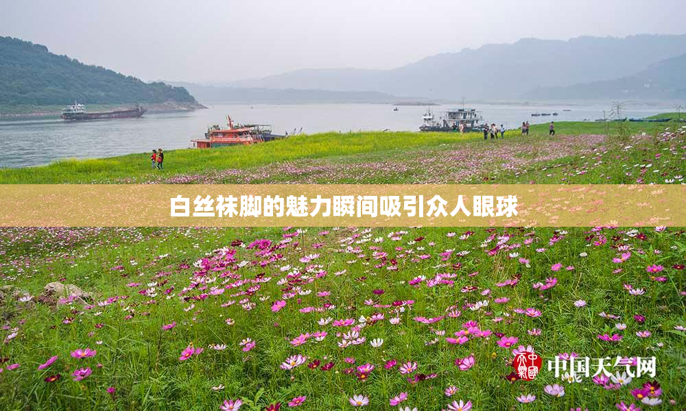 白丝袜脚的魅力瞬间吸引众人眼球