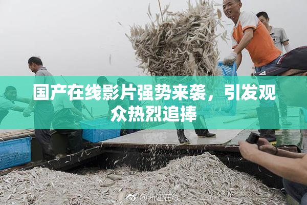 国产在线影片强势来袭，引发观众热烈追捧