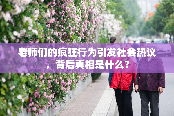 老师们的疯狂行为引发社会热议，背后真相是什么？