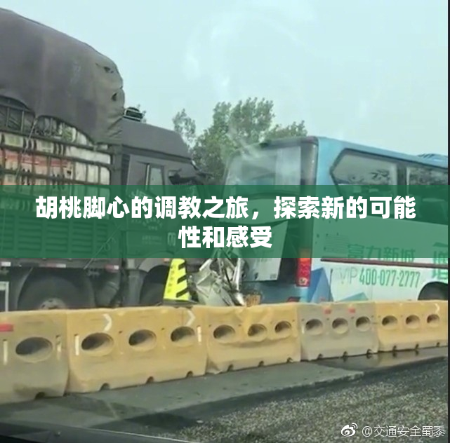 胡桃脚心的调教之旅，探索新的可能性和感受