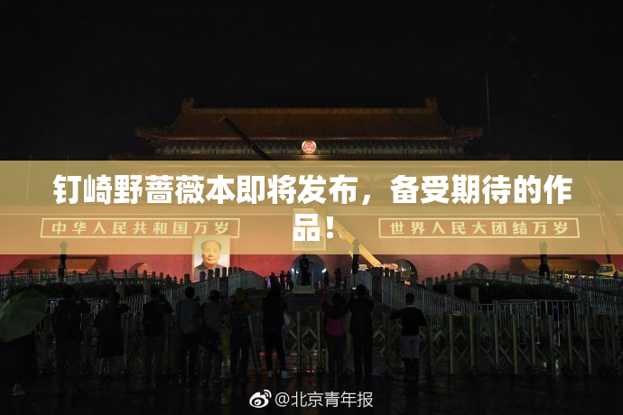 钉崎野蔷薇本即将发布，备受期待的作品！