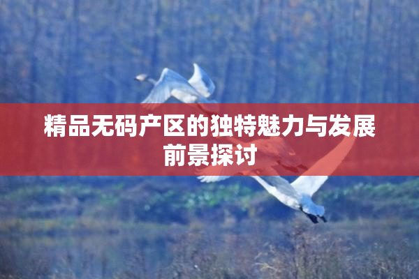 精品无码产区的独特魅力与发展前景探讨