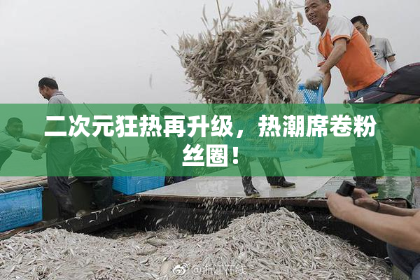 二次元狂热再升级，热潮席卷粉丝圈！