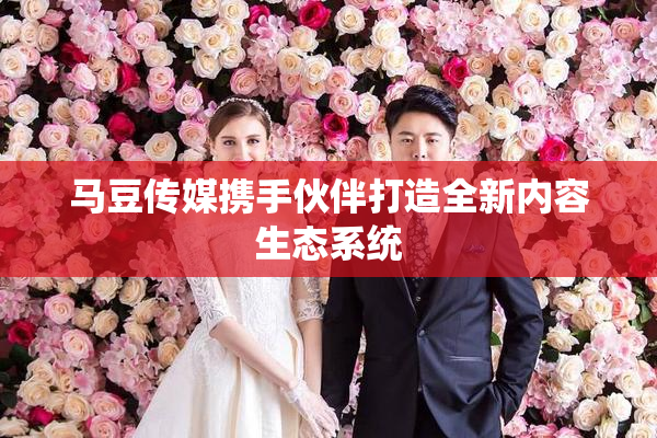 马豆传媒携手伙伴打造全新内容生态系统