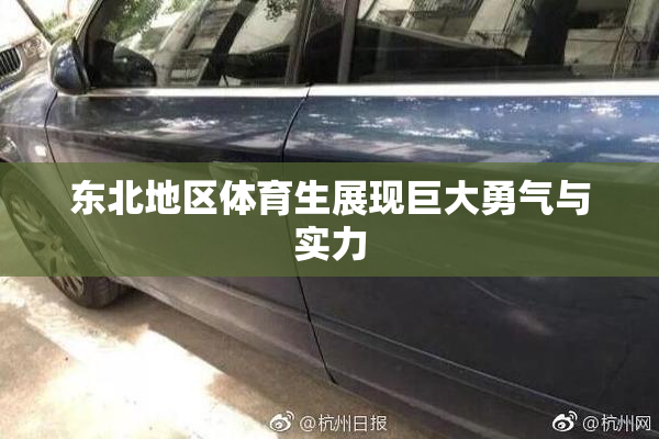 东北地区体育生展现巨大勇气与实力