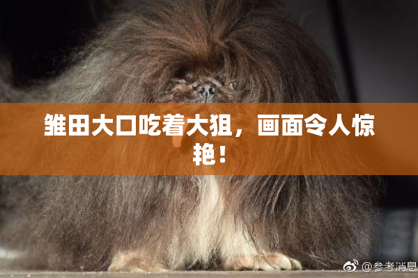 雏田大口吃着大狙，画面令人惊艳！