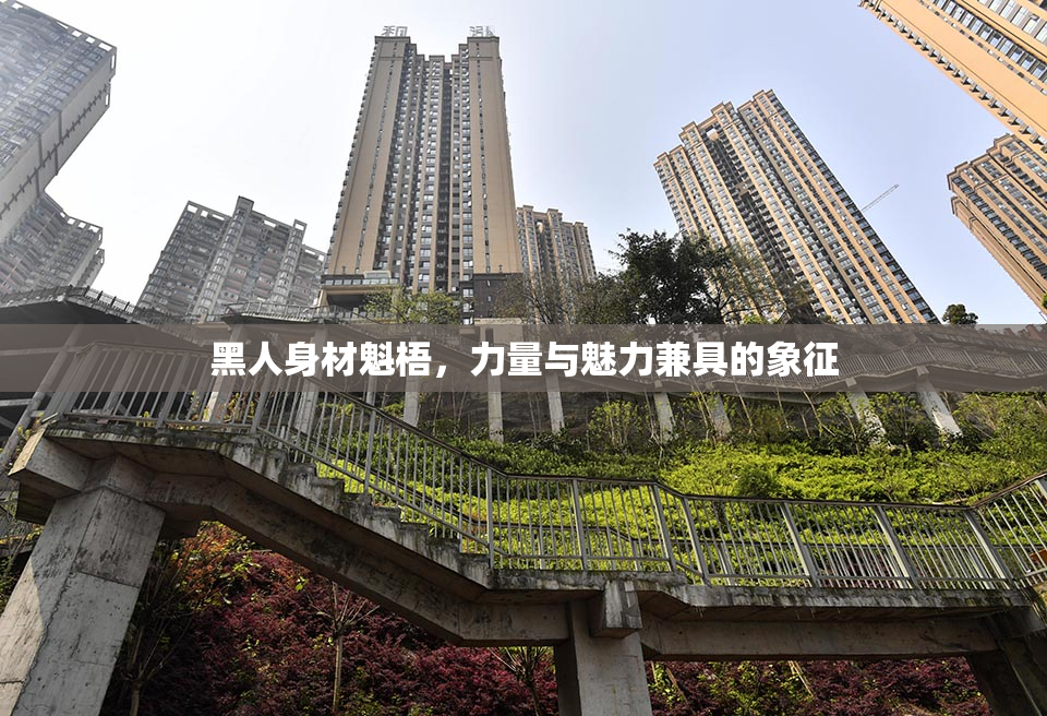 黑人身材魁梧，力量与魅力兼具的象征