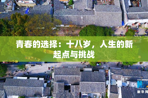 青春的选择：十八岁，人生的新起点与挑战