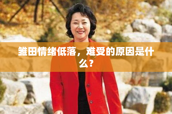 雏田情绪低落，难受的原因是什么？