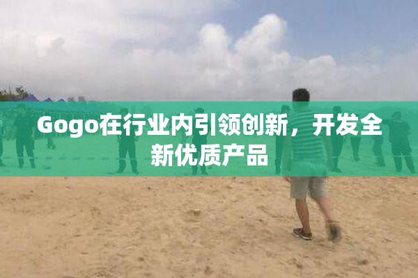 Gogo在行业内引领创新，开发全新优质产品