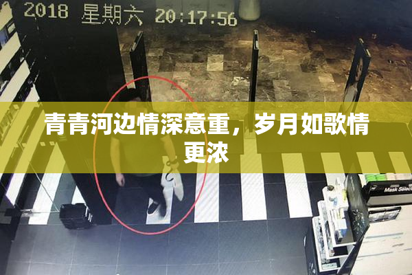 青青河边情深意重，岁月如歌情更浓
