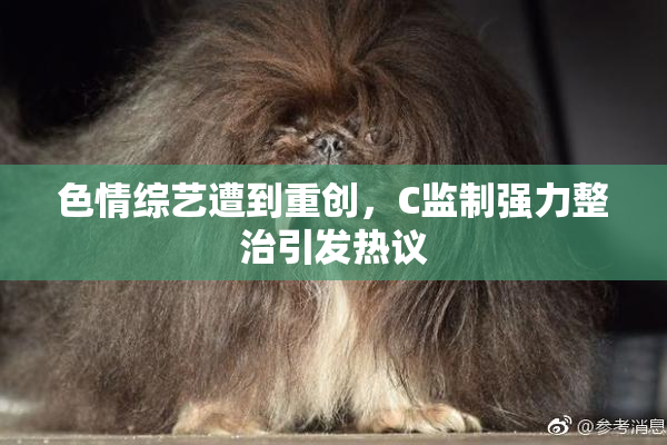 色情综艺遭到重创，C监制强力整治引发热议
