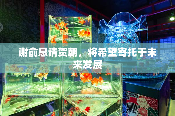 谢俞恳请贺朝，将希望寄托于未来发展