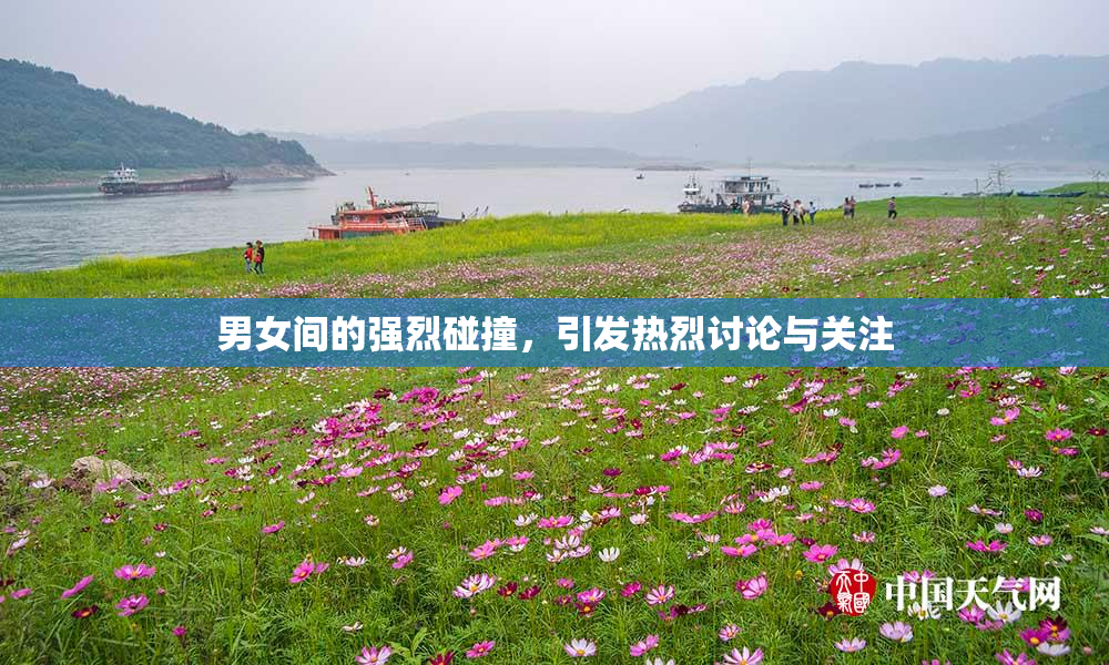男女间的强烈碰撞，引发热烈讨论与关注