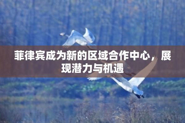 菲律宾成为新的区域合作中心，展现潜力与机遇
