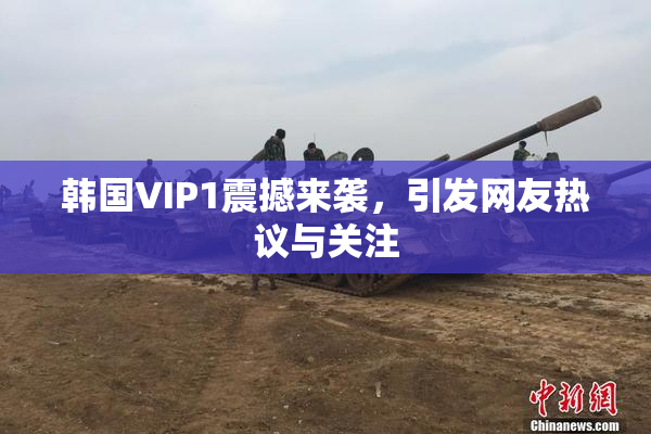 韩国VIP1震撼来袭，引发网友热议与关注
