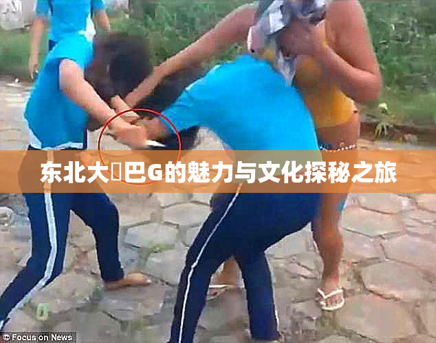 东北大鷄巴G的魅力与文化探秘之旅