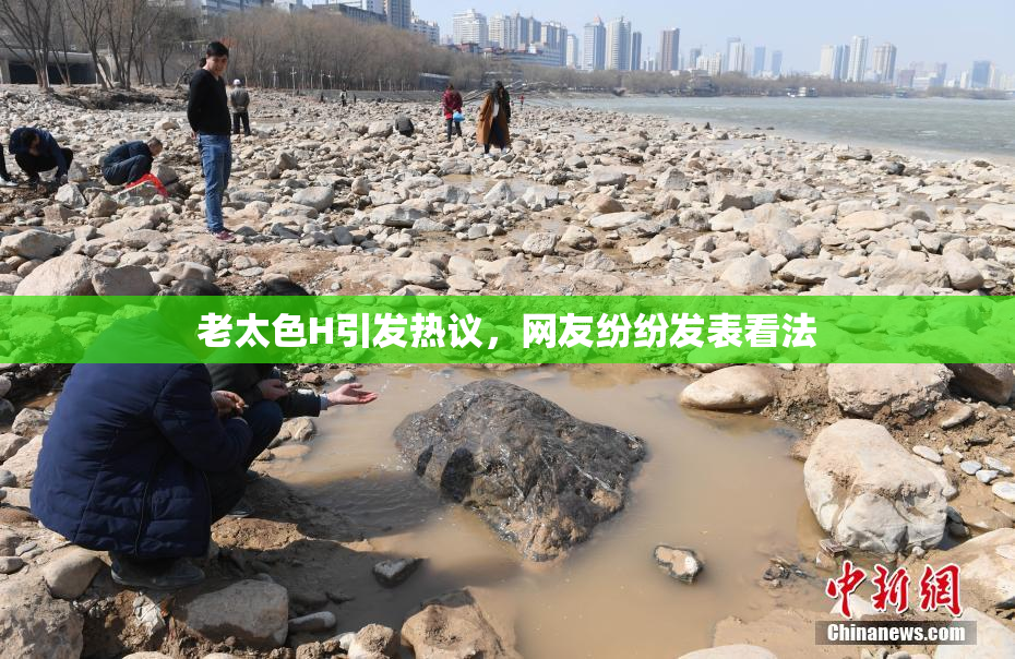 老太色H引发热议，网友纷纷发表看法