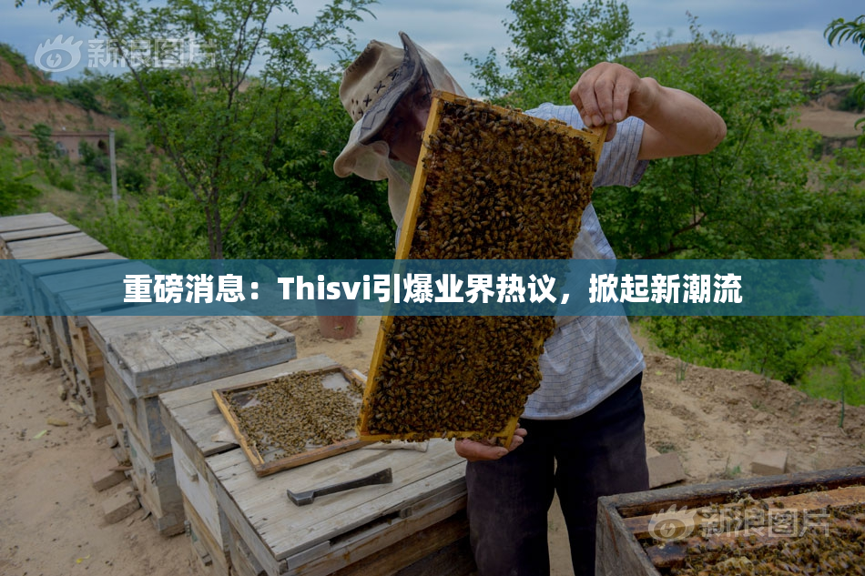 重磅消息：Thisvi引爆业界热议，掀起新潮流