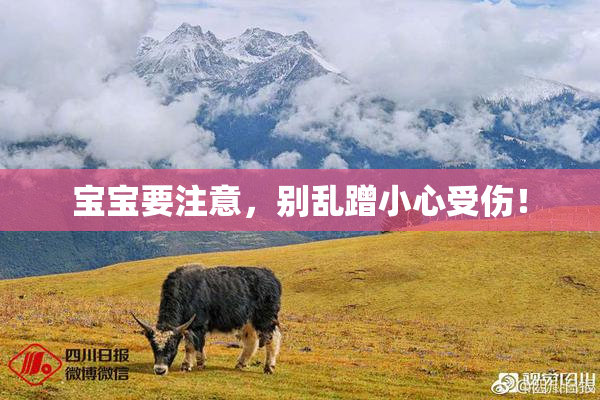 宝宝要注意，别乱蹭小心受伤！