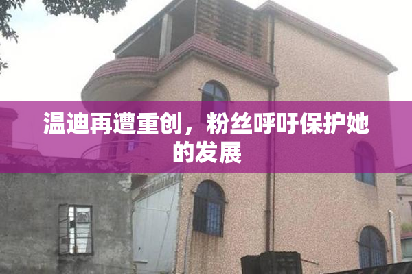温迪再遭重创，粉丝呼吁保护她的发展