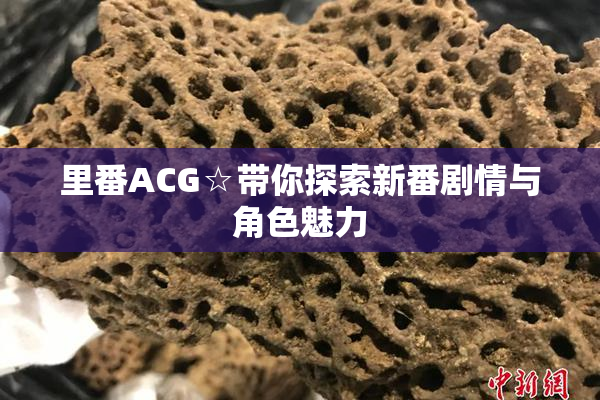 里番ACG☆带你探索新番剧情与角色魅力