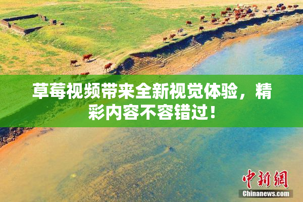 草莓视频带来全新视觉体验，精彩内容不容错过！
