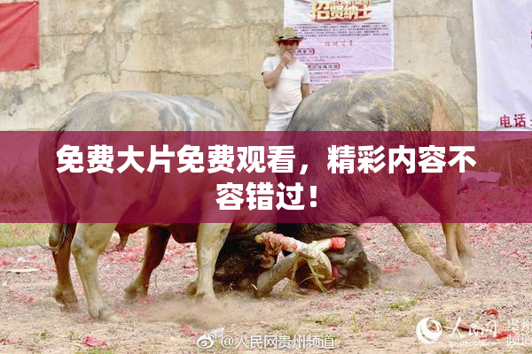 免费大片免费观看，精彩内容不容错过！