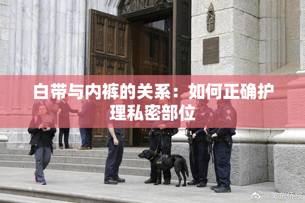白带与内裤的关系：如何正确护理私密部位