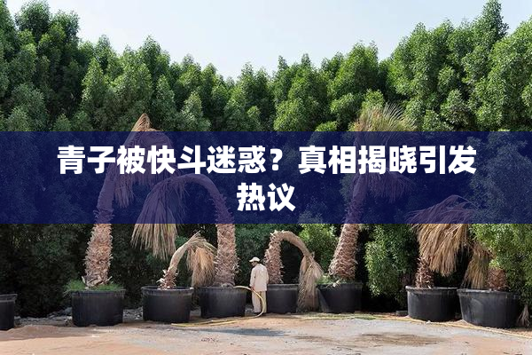青子被快斗迷惑？真相揭晓引发热议