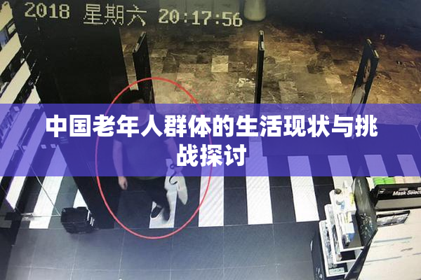 中国老年人群体的生活现状与挑战探讨