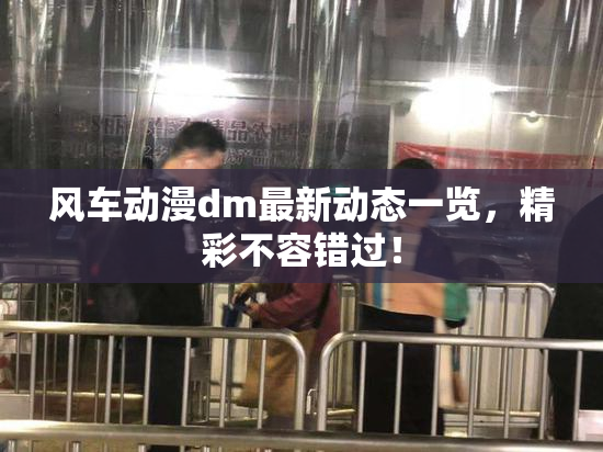 风车动漫dm最新动态一览，精彩不容错过！