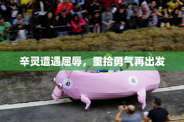 辛灵遭遇屈辱，重拾勇气再出发