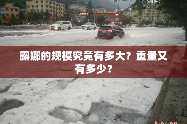 露娜的规模究竟有多大？重量又有多少？