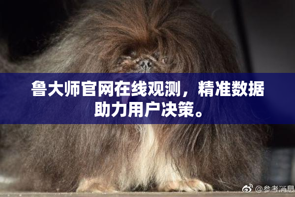 鲁大师官网在线观测，精准数据助力用户决策。