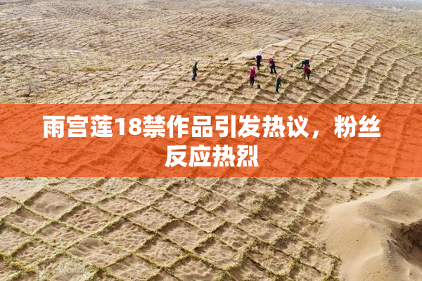 雨宫莲18禁作品引发热议，粉丝反应热烈