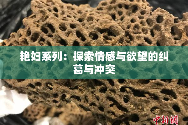 艳妇系列：探索情感与欲望的纠葛与冲突