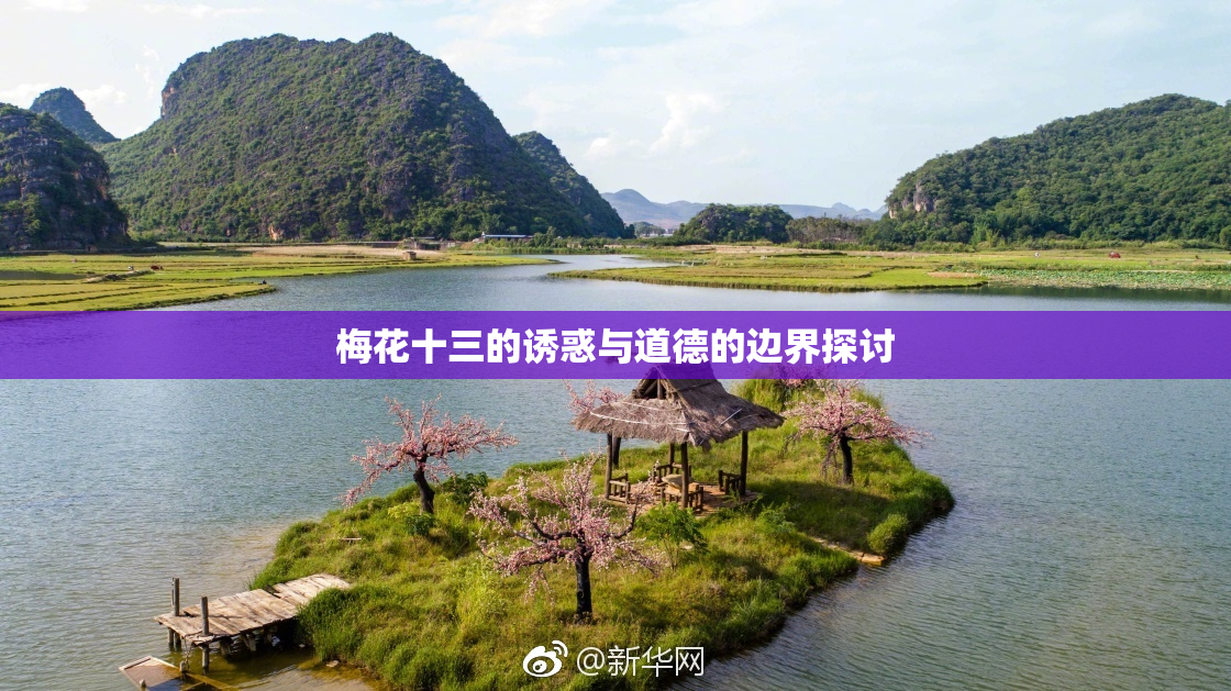 梅花十三的诱惑与道德的边界探讨
