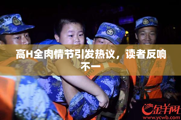 高H全肉情节引发热议，读者反响不一